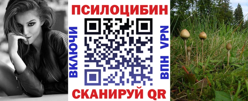 Галлюциногенные грибы Psilocybine cubensis  Среднеколымск 
